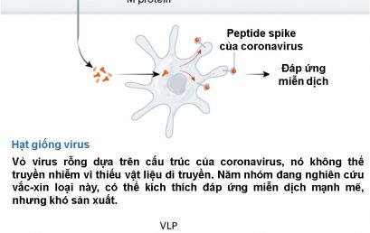 Cuộc đua vaccine Covid-19