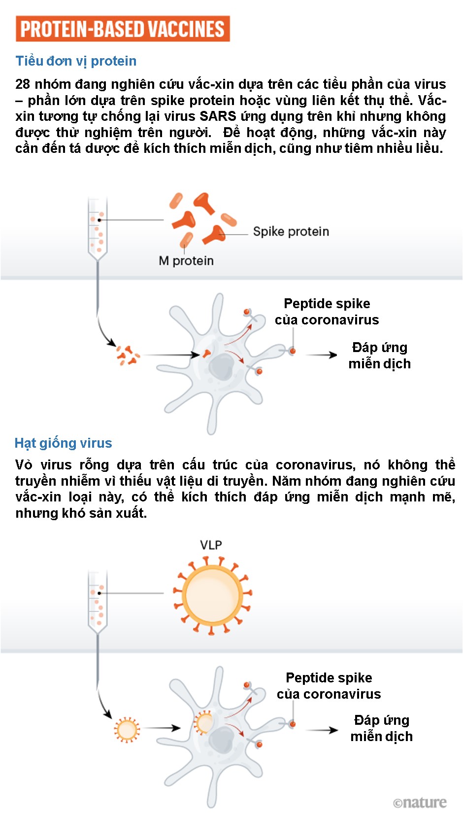 Cuộc đua vaccine Covid-19