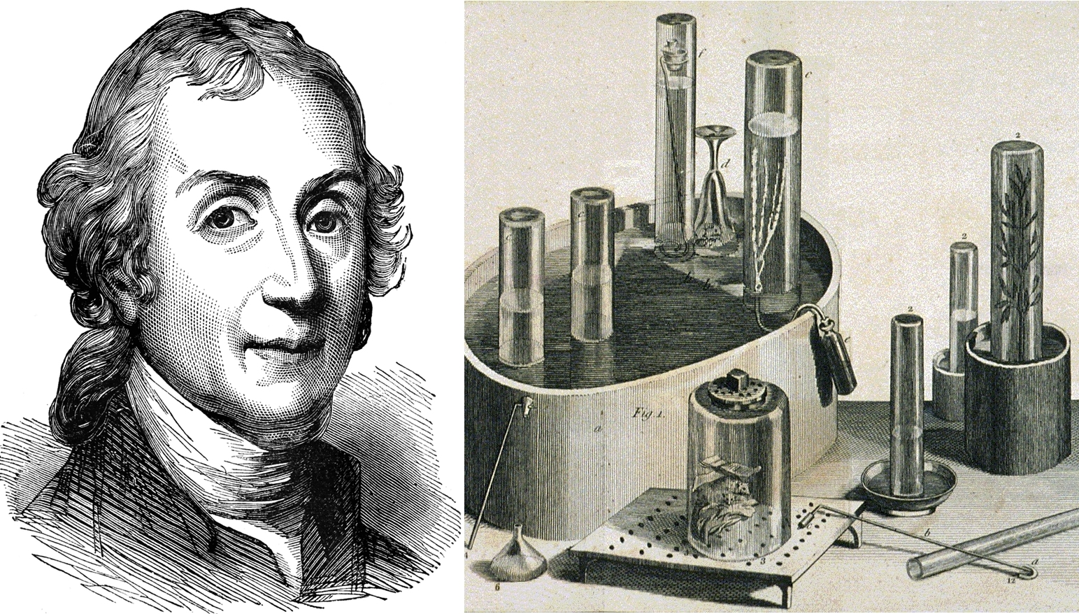 Joseph Priestley: Người phát hiện khí oxy