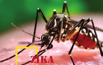 Tạp chí Life Balance | OSHE Magazine | No.5 Chủ đề: ZIKA VIRUS – Nguồn gốc và sự lây lan của một vi-rút bắt nguồn từ muỗi