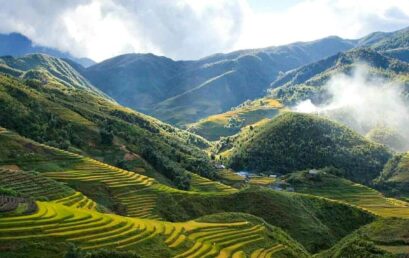 Gia Lai